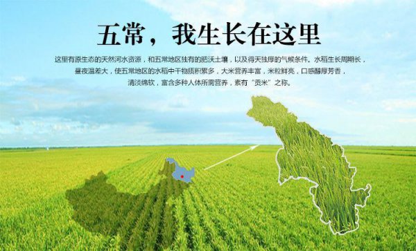 五常属于哪个省哪个市