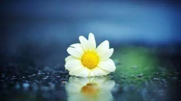 三天可见的女生不要追