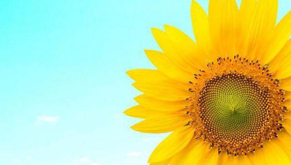 三天可见的女生不要追