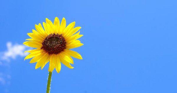 三天可见的女生不要追