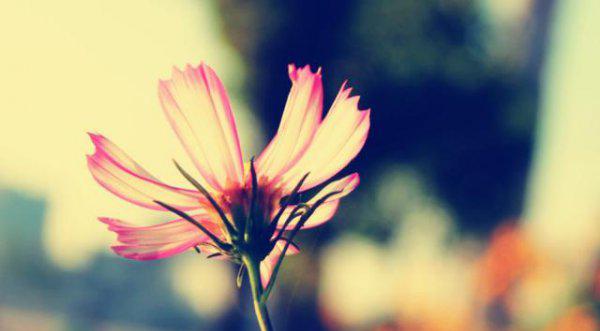 三天可见的女生不要追