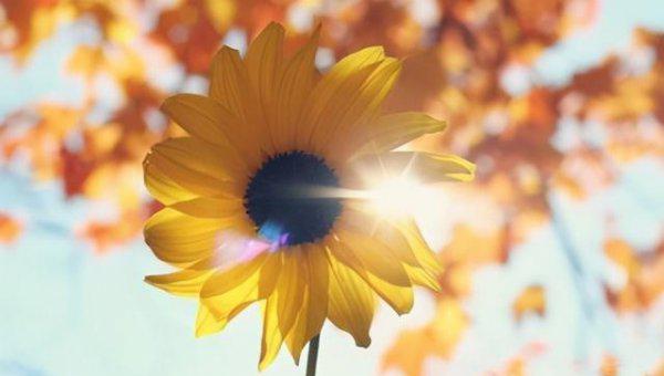 三天可见的女生不要追