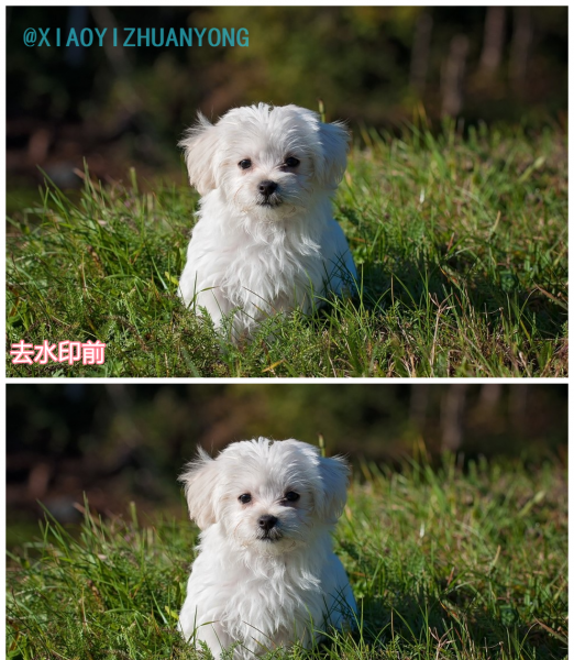 已经拍好的照片怎么去水印