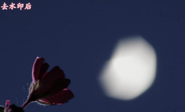 已经拍好的照片怎么去水印