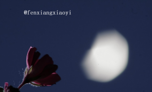 已经拍好的照片怎么去水印