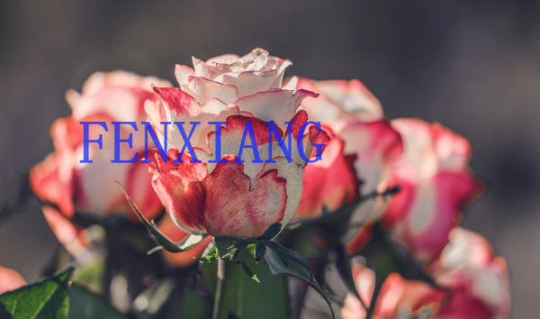 已经拍好的照片怎么去水印