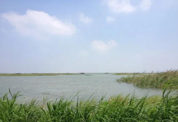 中国最大的湖是什么湖