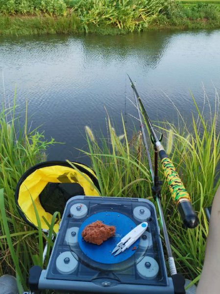 溪流竿和台钓竿区别