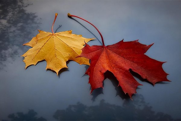 一个有格局的人的表现