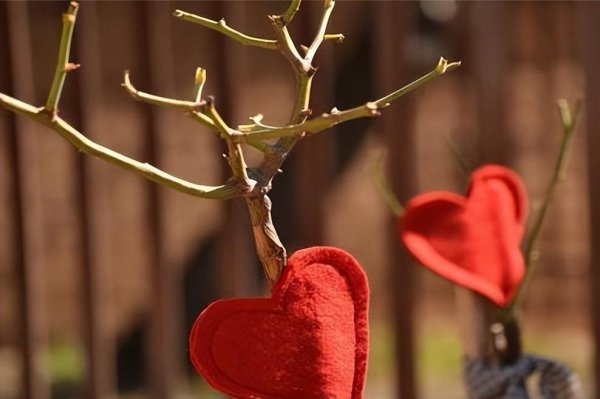 一个有格局的人的表现