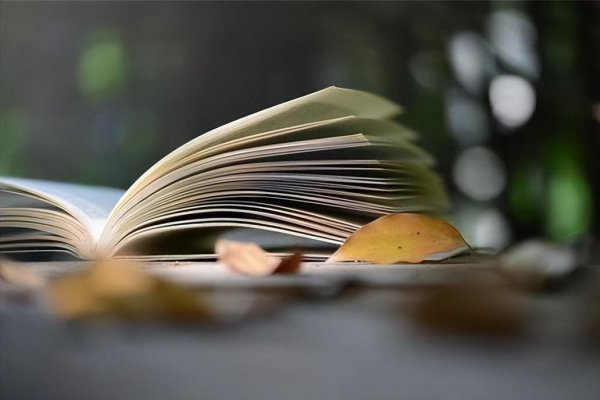 一个有格局的人的表现