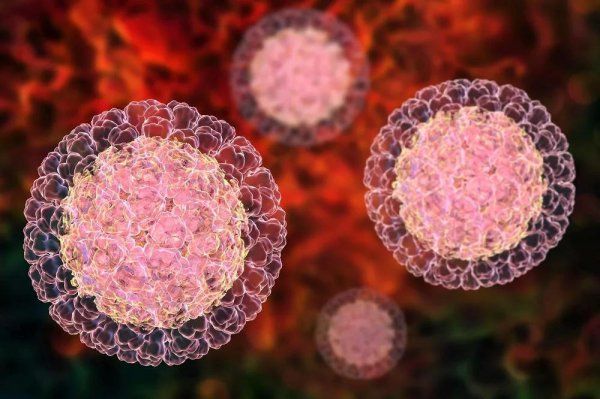 世界十大传染病排名