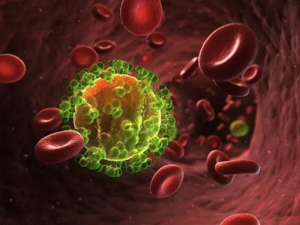 世界十大传染病排名