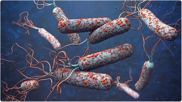 世界十大传染病排名