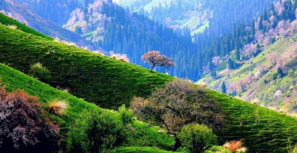 新疆最佳旅游时间是什么时候