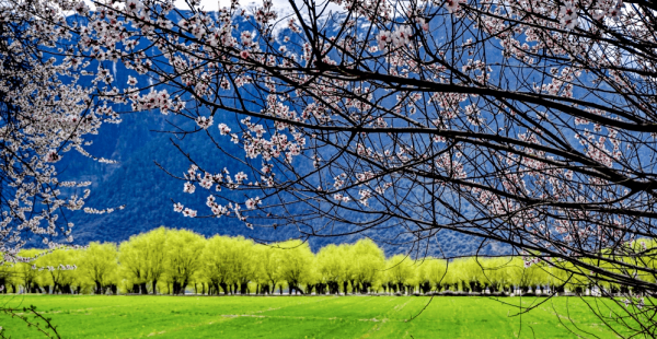 新疆最佳旅游时间是什么时候