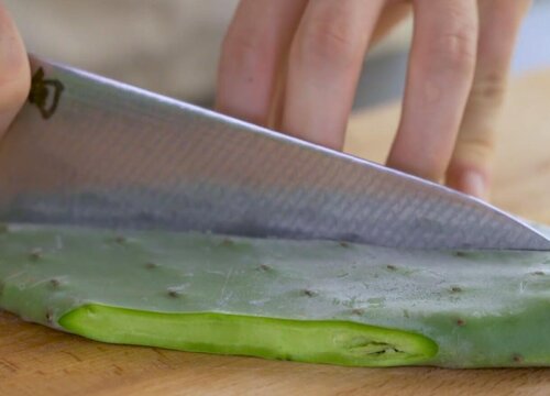 仙人掌花有什么作用