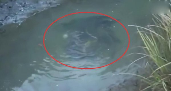 四川雅女湖在哪里