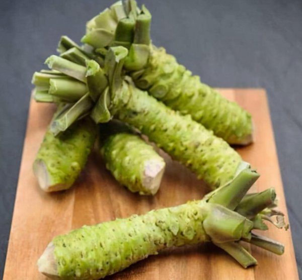 芥末油是什么提炼出来的