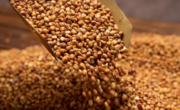 五瓶啤酒顶多少白酒