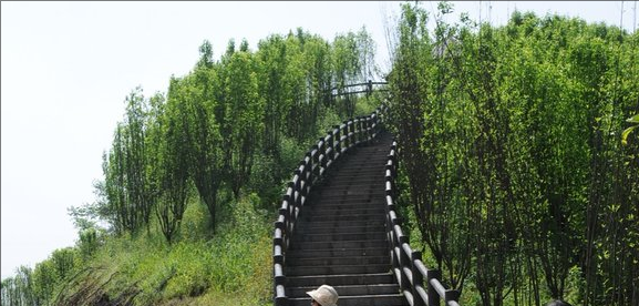 巴南区旅游景点排名