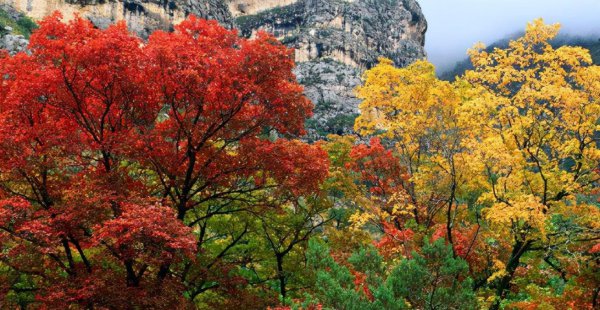 巴南区旅游景点排名