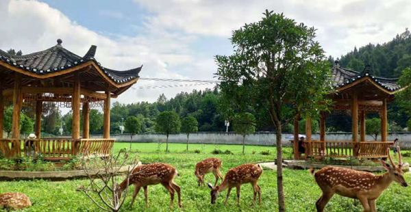 巴南区旅游景点排名