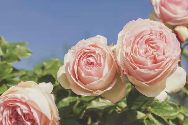 出轨过的男人还可以相信吗