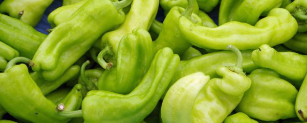 肉丝炒辣椒的家常做法