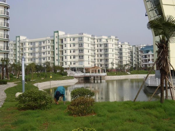 辽阳是几线城市