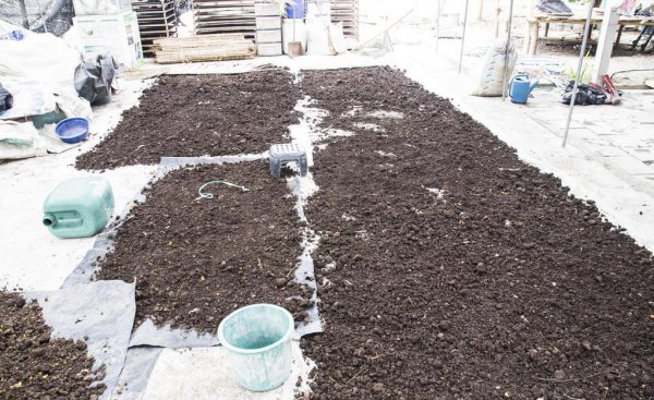 嘉宝果树施什么肥料最好