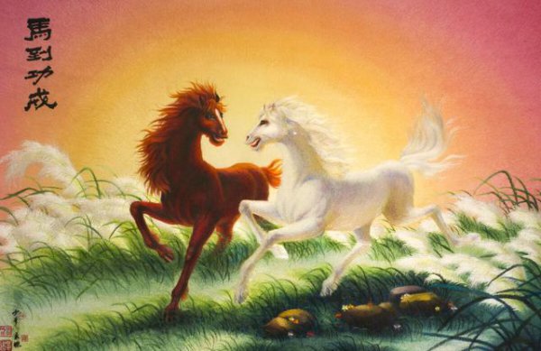 最代表男人的生肖是什么