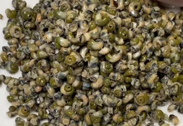 大连美食排行榜前十名