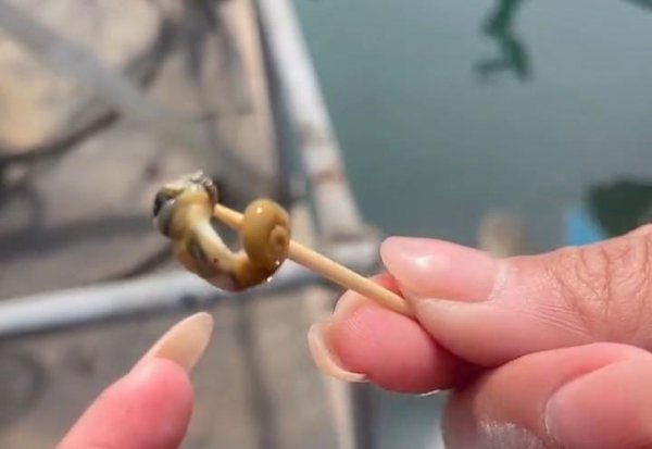 大连美食排行榜前十名