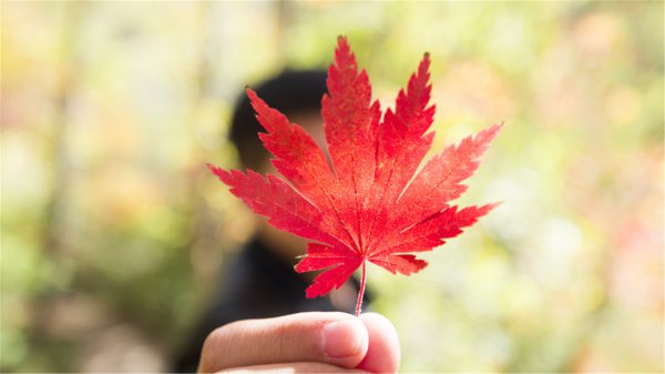 男人最喜欢女人怎么撩他