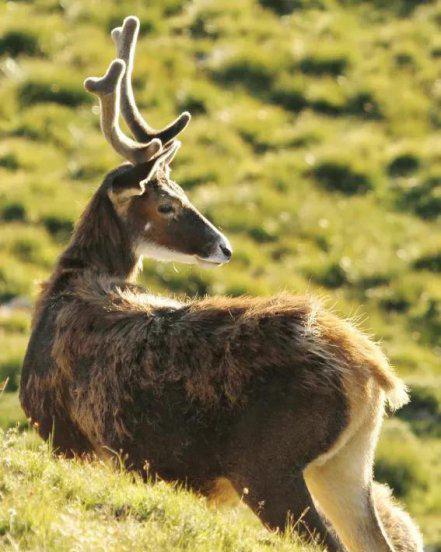 白玉县海拔多少米高