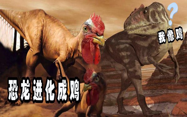 鸡是恐龙的后代吗