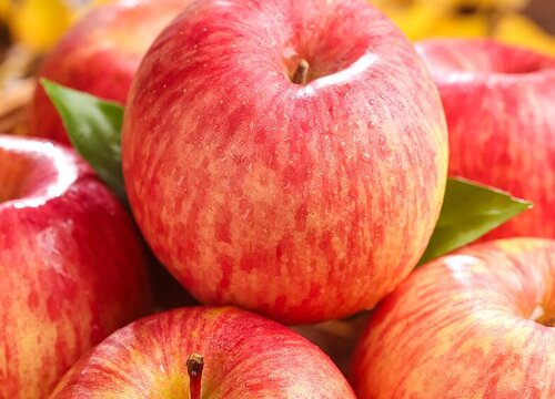 进口苹果有哪些品种