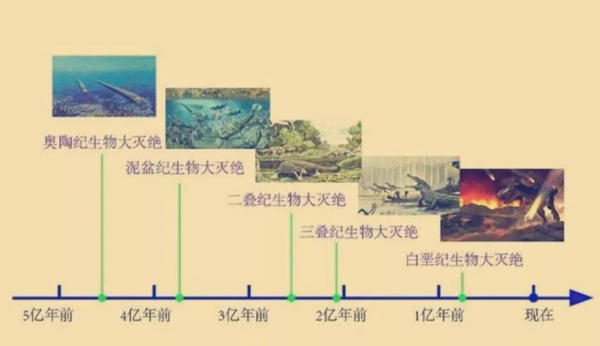 臭氧层破坏的主要危害和原因