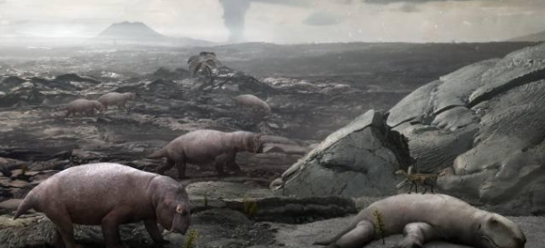 臭氧层破坏的主要危害和原因