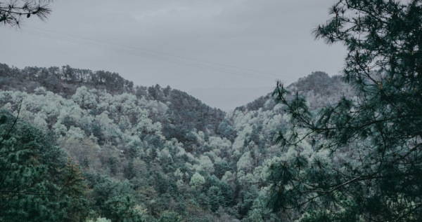 武义旅游景点都有哪些