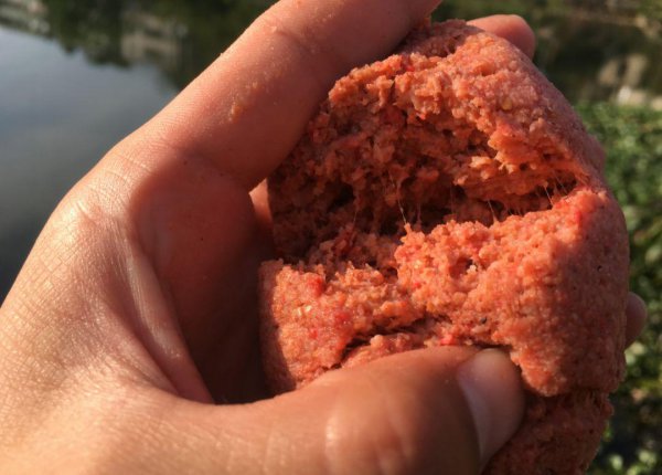 鲫鱼喜欢吃什么食物