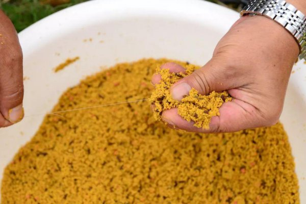 鲫鱼喜欢吃什么食物