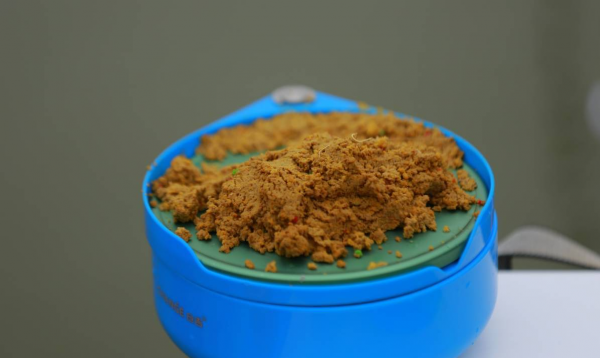 鲫鱼喜欢吃什么食物