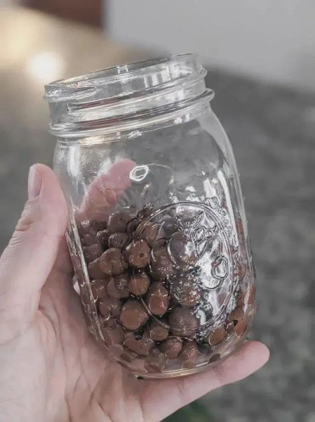 陶粒养花有什么作用和功效