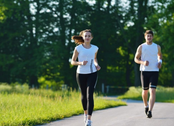 目前属于朝阳行业的有