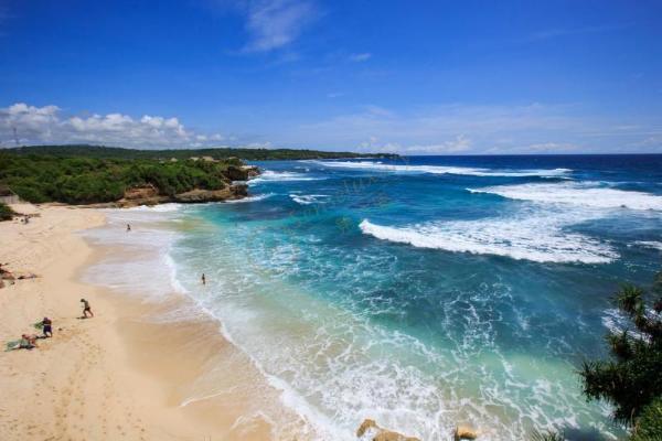 旅游巴厘岛费用