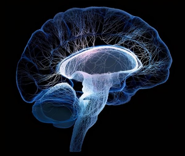 世界吉尼斯长寿146岁