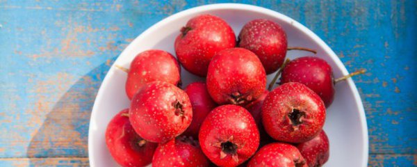 山楂果可以直接吃吗