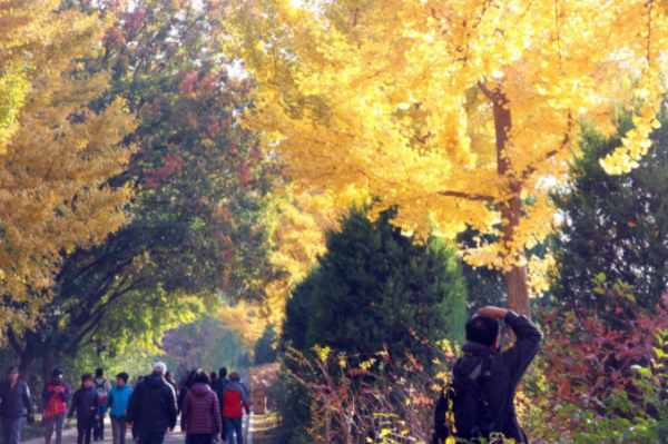 玉渊潭公园在哪里